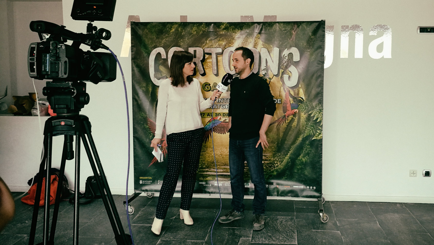 cortoons festival 2017